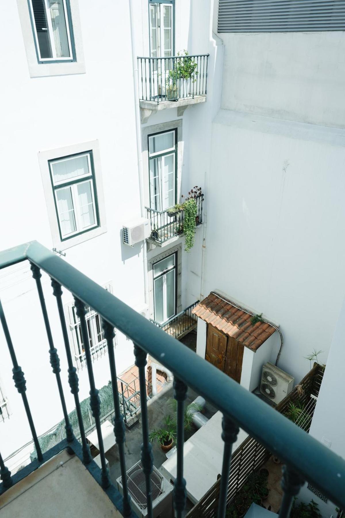 Apartment The Marigold Flower Of *